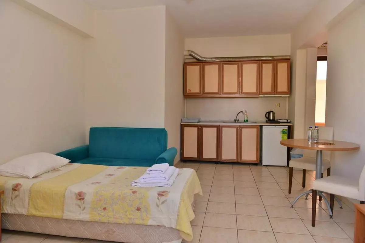 orange garden1 (Copy).jpg